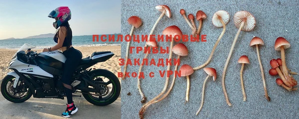а пвп мука Белокуриха