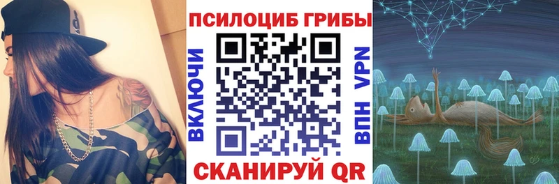 Псилоцибиновые грибы мицелий  Покровск 